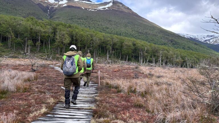 Realizan intensa búsqueda de tres turistas que realizaban trekking en Tierra del Fuego y no regresaron a refugio