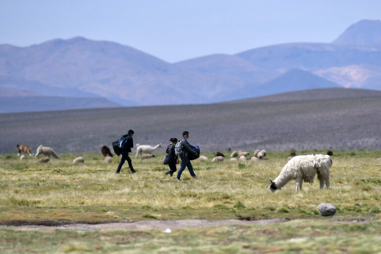 Cadem: 77% cree que llegada de migrantes es mala para Chile y 79% piensa que se debe “cerrar la frontera a nueva inmigración”