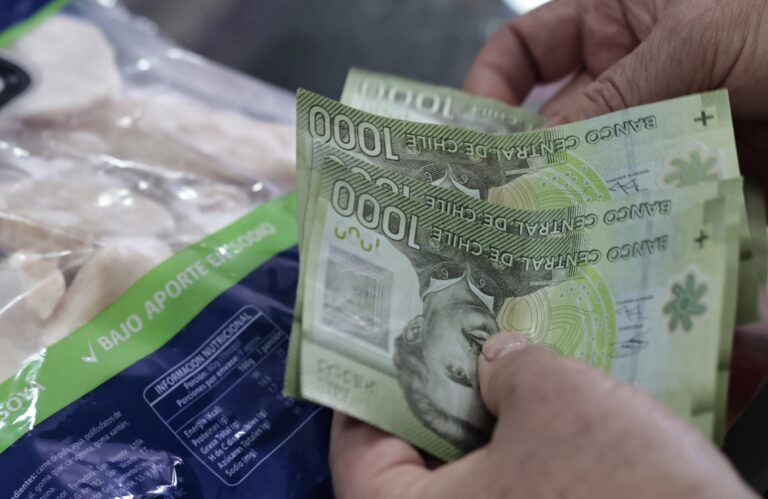 Comenzó pago de las compensaciones por la colusión de los pollos: Revisa quiénes recibirán los $13.722