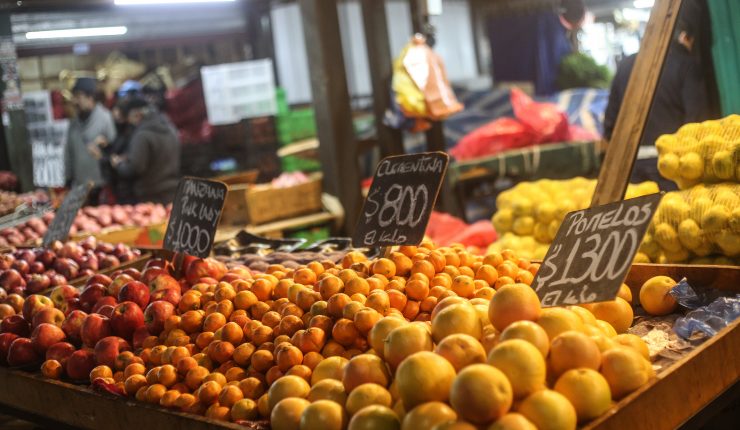 Canasta Básica alcanza los $70.286 en noviembre: ¿Qué productos subieron y bajaron más?