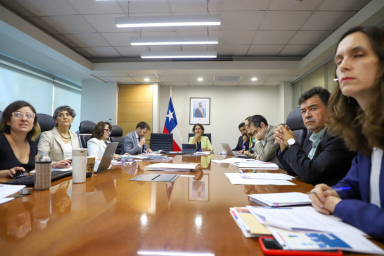 Tribunal Ambiental da espaldarazo a Dominga y acusa de 