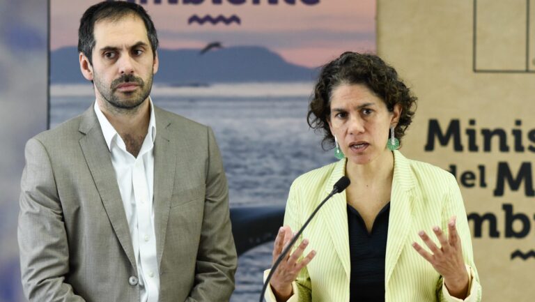 Proyecto Dominga: Comité de Ministros resolvió inhabilitarse tras fallo del Tribunal Ambiental