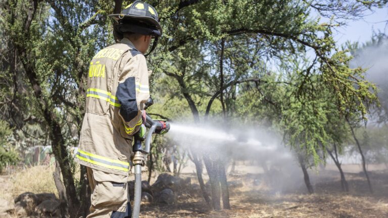 Reporte de Conaf: 14 incendios forestales permanecen en combate a nivel nacional