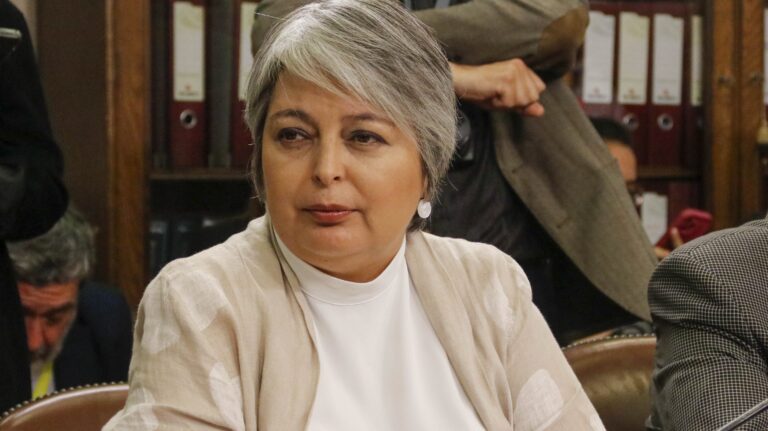 Ministra Jara coincide con la CPC sobre extensión del postnatal: “Podría generar incentivos perjudiciales”
