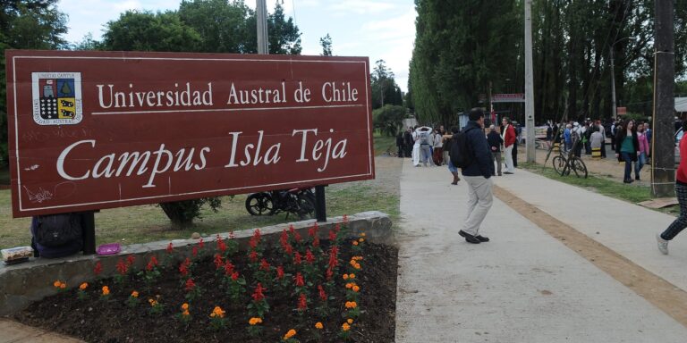 Crisis en la educación superior: Universidades públicas y privadas enfrentan un complejo estado económico