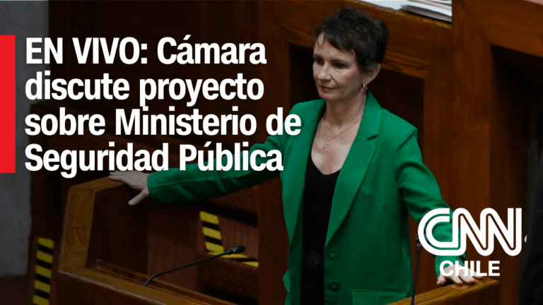 Cámara de Diputadas y Diputados discute proyecto que crea el Ministerio de Seguridad Pública