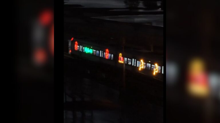 EFE estrena biotren navideño en la Región del Biobío: 