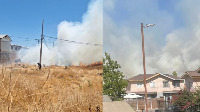 Declaran Alerta Roja en Quilicura y Lampa por incendio forestal