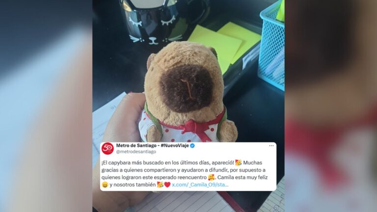 Metro de Santiago celebra el reencuentro entre usuaria y su peluche perdido: 