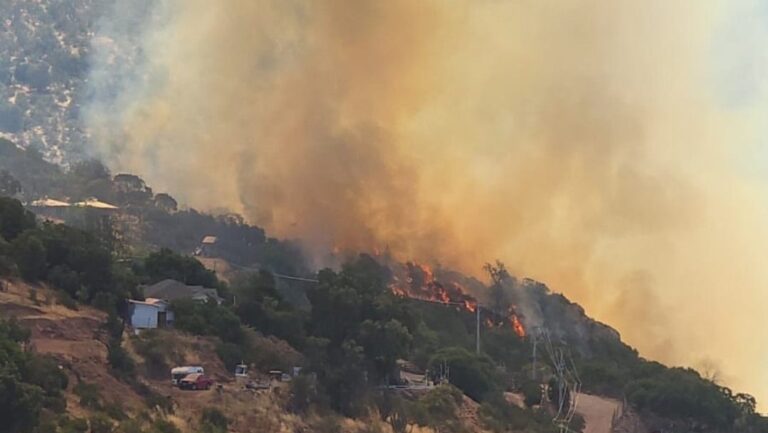 Declaran alerta roja en Paine por incendio forestal cercano a sectores poblados: Siniestro ya ha consumido 80 hectáreas