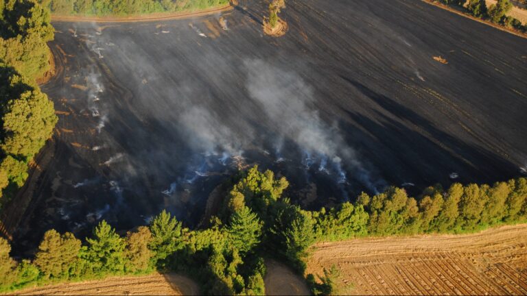 Conaf decreta restricción de uso de fuego en 9 regiones del país para evitar propagación de incendios forestales