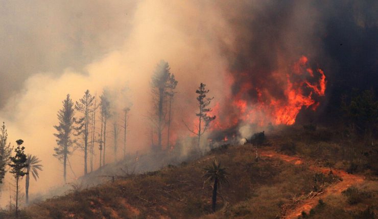 Incendio forestal en San Esteban, Región de Valparaíso, cobra la vida de una mujer de 70 años: Habría 10 hectáreas consumidas