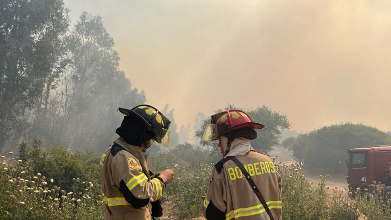 Senapred declara alerta roja en Talagante por incendio forestal cercano a zonas pobladas