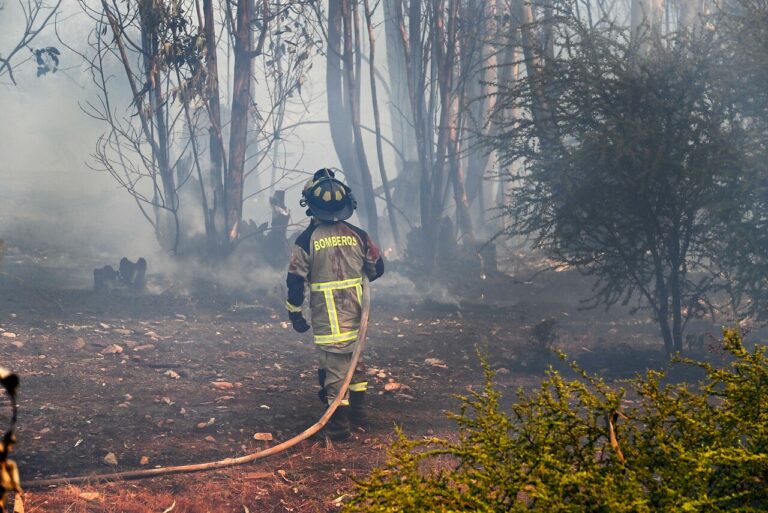 Senapred decreta alerta temprana preventiva para la Región de La Araucanía por amenaza de incendios forestales