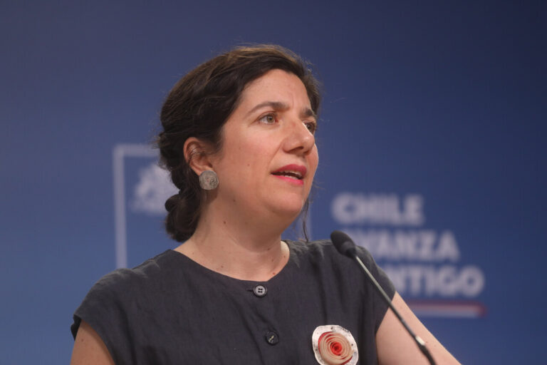Pensiones: Etcheverry apunta a republicanos y afirma que no aprobar reforma este mes sería un “fracaso del sistema político”