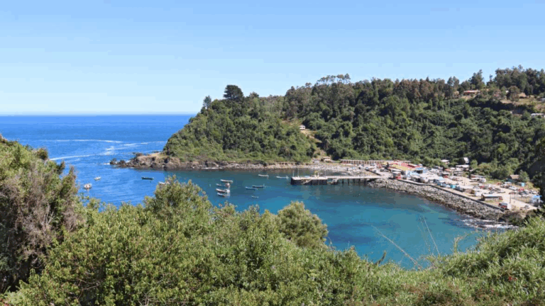 Asciende a 7 la cifra de muertos tras fatal naufragio en Bahía Mansa de Los Lagos