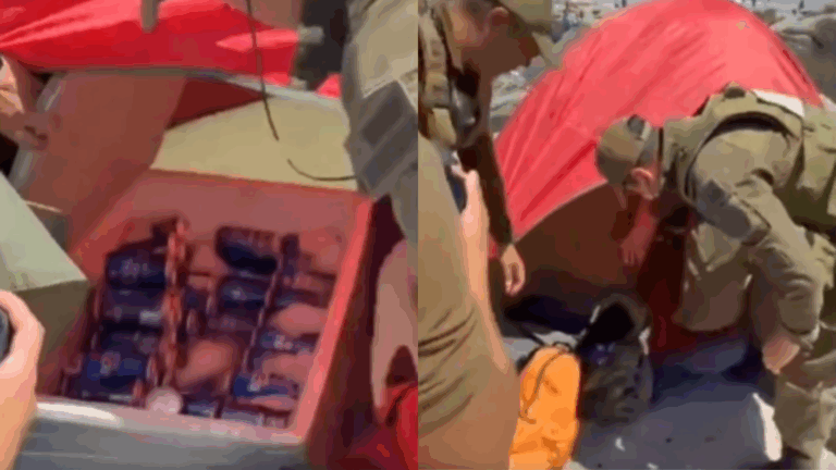 Incautan más de 100 latas de cerveza en Coquimbo: Las vendían al interior de una carpa instalada en la playa Totoralillo