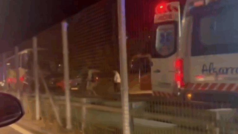3 niños y un adulto mueren durante trágico accidente vehicular en la Región de Valparaíso