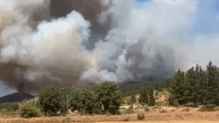 Michel De L’Herbe por incendio forestal en San Javier: 