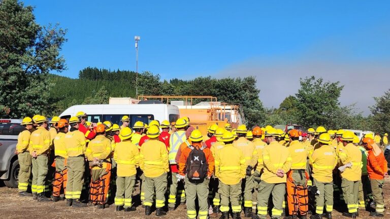 Incendio forestal en La Araucanía consume 1.000 hectáreas: Se mantiene Alerta Roja en Los Sauces