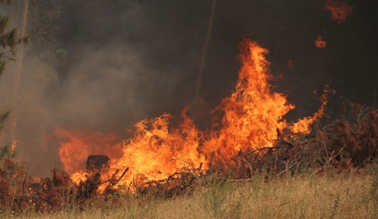 Registran incendio fuera de control en Malloa: Siniestro ya consumió 170 hectáreas, pero no hay casas o personas afectadas