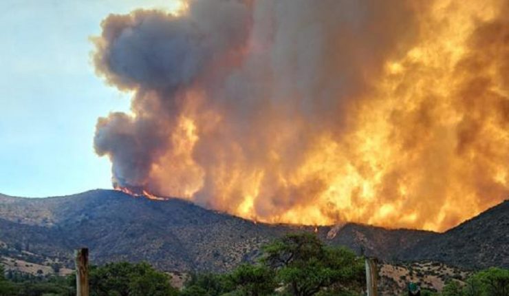 Ordenan evacuar sector de Paredones, en la Región de O'Higgins, por incendio forestal que amenaza la zona
