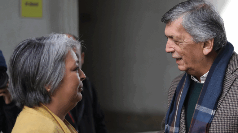 Primarias: Carmona destaca liderazgo de Jara tras el despacho de la reforma, pero evita comprometerla con una candidatura