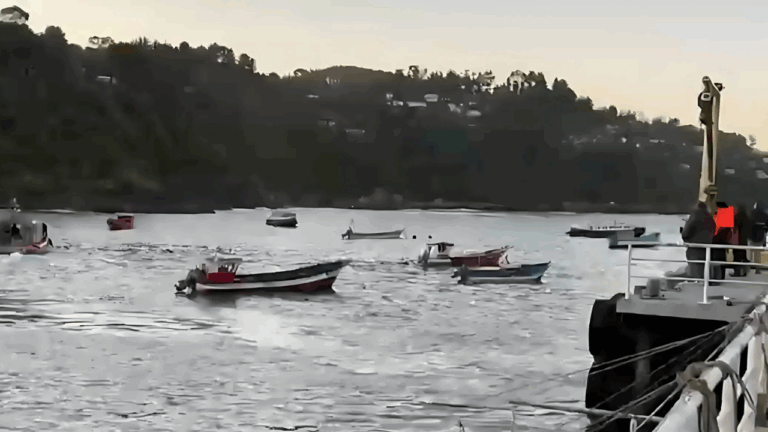 Detienen al capitán de la lancha Río Cholguaco tras naufragio en Los Lagos