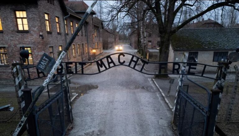 Sobreviviente del Holocausto reflexiona a 80 años de la liberación de Auschwitz: 