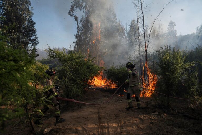 Decretan Alerta Roja en San Javier: Incendio forestal amenaza sectores habitados en la Región del Maule