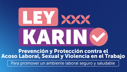 Ley Karin sumó casi 10 mil denuncias en cuatro meses en el sector privado