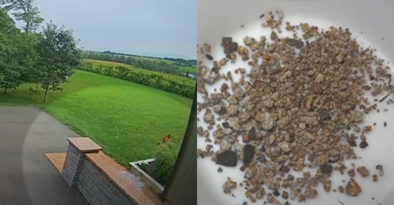¿Un encuentro cercano?: Captan caída de meteorito a pocos metros de una casa en Canadá