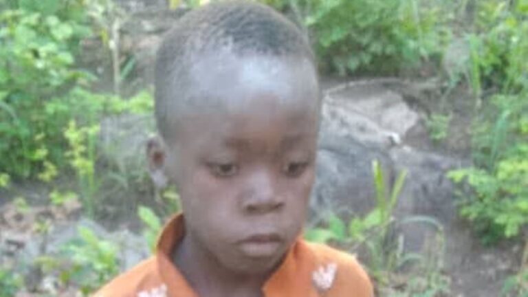 Niño sobrevivió 5 días perdido: Fue encontrado en un parque 