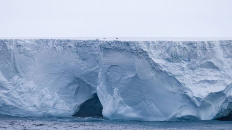 ¿El iceberg más grande del mundo podría chocar con una isla? Esto dicen los expertos