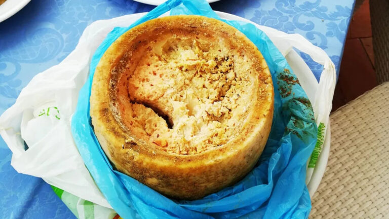 Casu marzu, el queso ilegal y con gusanos: ¿Te atreverías a comerlo?