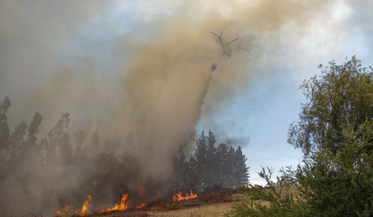 Emergencia en la Región de Biobío: Senapred ordena evacuación de Población Bureo, en Mulchén, por incendio forestal