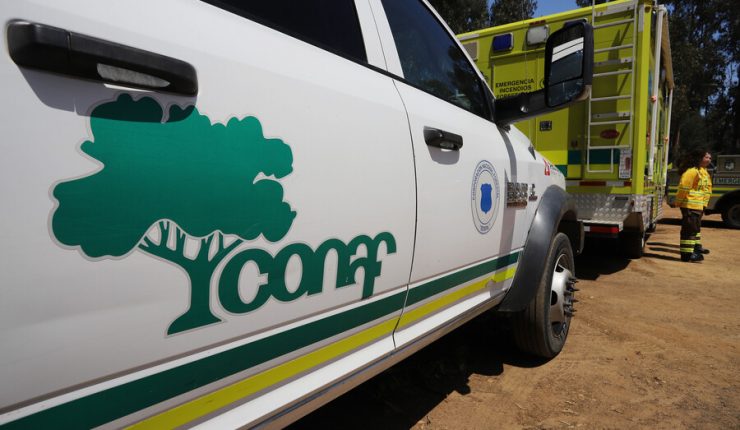 Conaf decretó el cierre de Áreas Silvestres Protegidas en Parinacota: Medida estará vigente hasta marzo