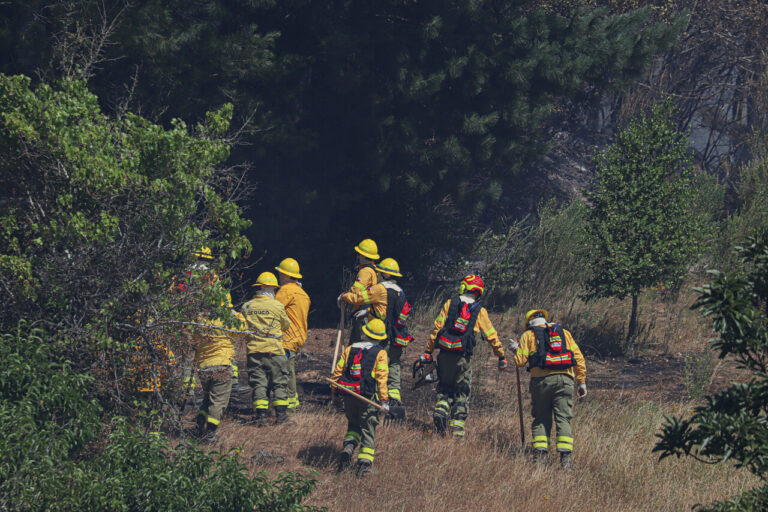 Senapred informa de 15 incendios forestales activos de gran propagación en regiones de La Araucanía, Biobío y Ñuble