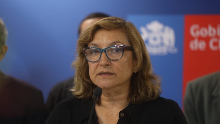 Directora de Conaf prevé una temporada de incendios más larga: Podría extenderse hasta abril