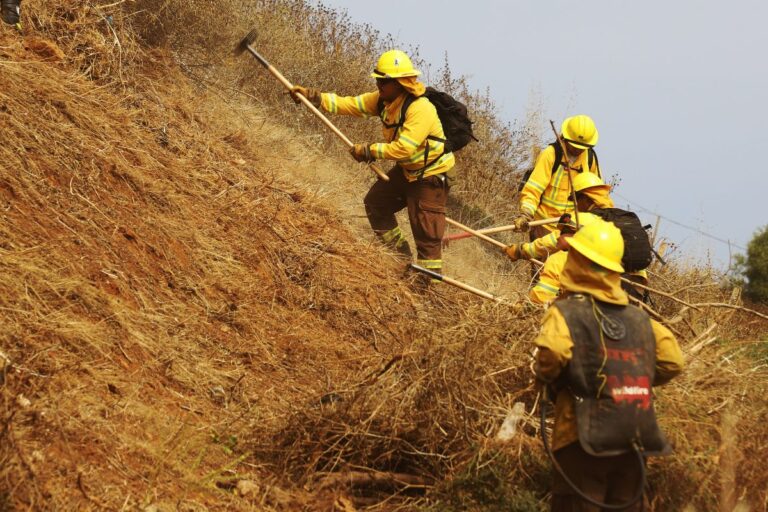 Senapred decreta alerta amarilla para la región de La Araucanía por incendios forestales