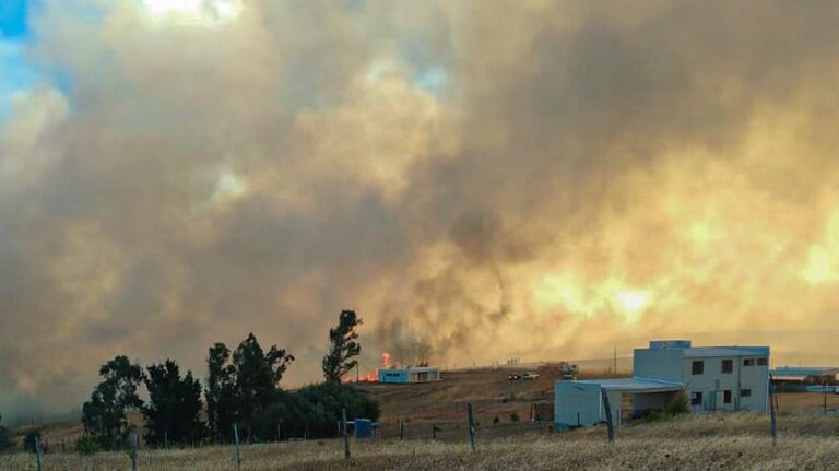 Dos expertos analizan la gestión del gobierno en el manejo de incendios forestales: Esto fue lo dijeron