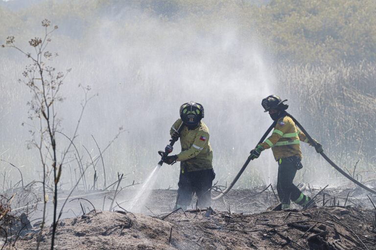 Detienen a dos bomberos acusados de provocar incendios forestales de Melipilla: Quedaron en prisión preventiva