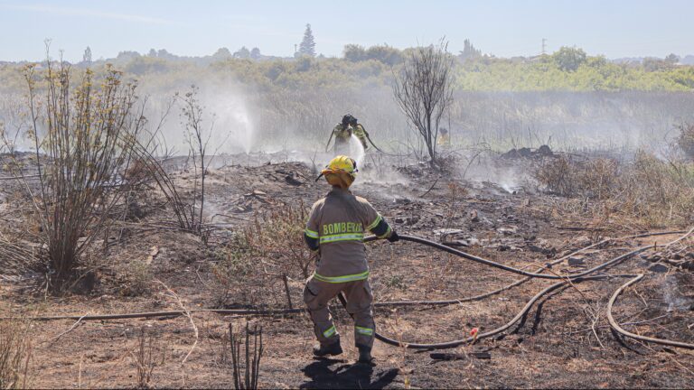 Región de La Araucanía: Ordenan evacuar diversos sectores de la comuna de Collipulli