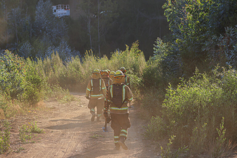 Senapred emite llamado urgente a evacuar sector de Lolenco en La Araucanía debido a incendio forestal
