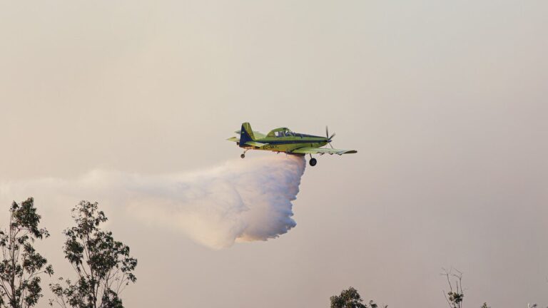Chiloé: Declaran alerta roja en Chonchi por incendio forestal