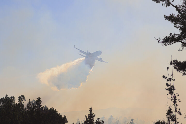 Senapred confirma que hay 14 personas detenidas por su presunta responsabilidad en los incendios forestales