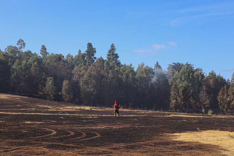 Incendios forestales: Senapred reporta 12 focos activos y La Araucanía supera las 11 mil hectáreas consumidas