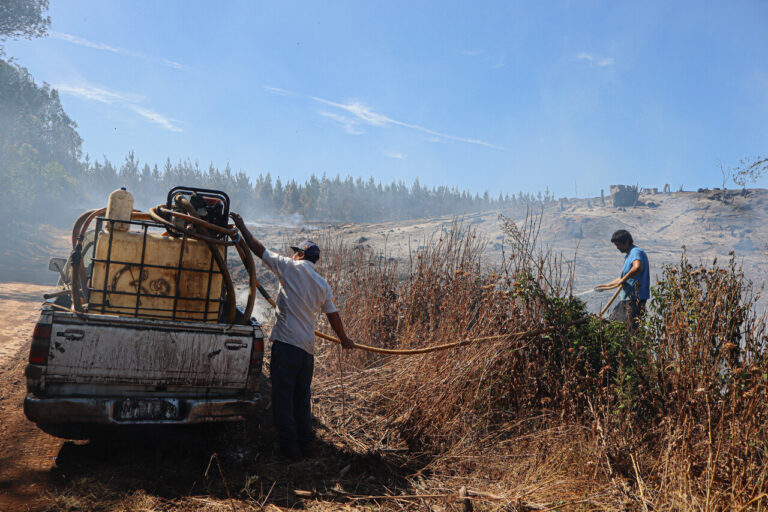 Incendios forestales en la Región de La Araucanía: 9 incendios activos y más de 10 mil hectáreas consumidas