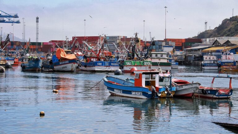 Continúan labores de búsqueda tras naufragio de embarcación en Talcahuano: Dos pescadores siguen desaparecidos