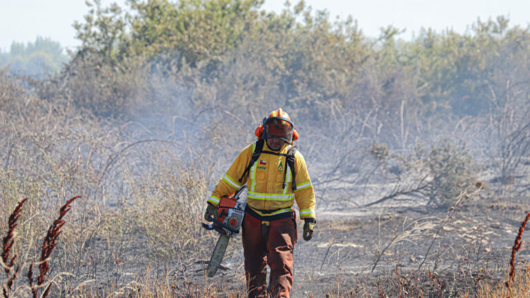 Incendio forestal obliga evacuación en Población Riego de Collipulli